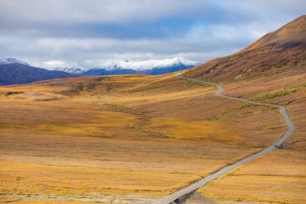 istock Empty road at Denali national park at fall in Alaska 1282597352