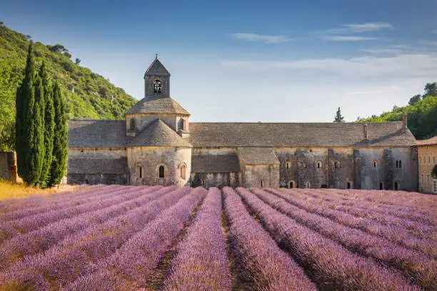Photo of Abbeye de Senanque Lavender Field Provence in Summer France