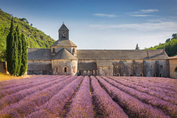 abbeye de senanque lavender field provence no verão frança - natural landmark famous place travel destinations nature - fotografias e filmes do acervo