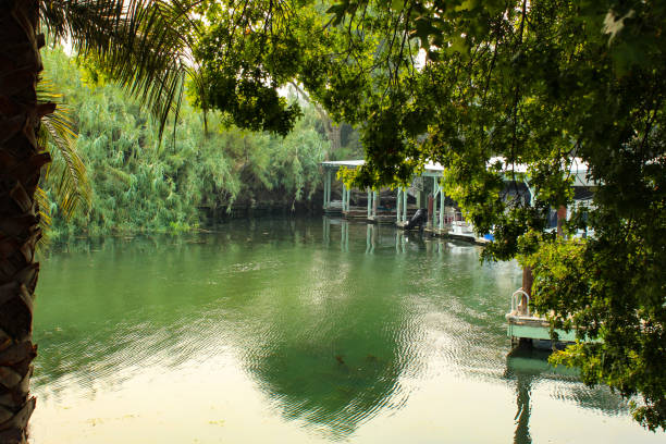 A lush view of trees alongside a group of docks on the Sacramento Delta