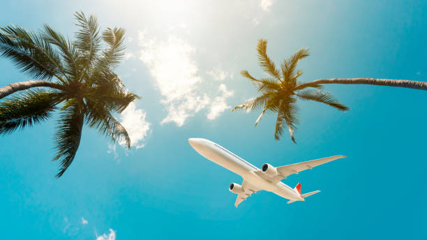avion volant sur les vacances tropicales d’été. - air air vehicle beauty in nature blue photos et images de collection