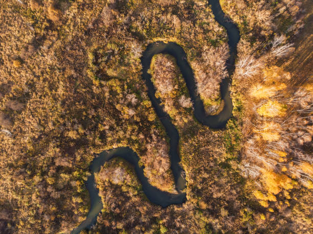 istock autumn landscape with river 1282610920