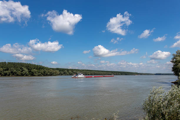 istock Big cargo transport by ship 1282612497