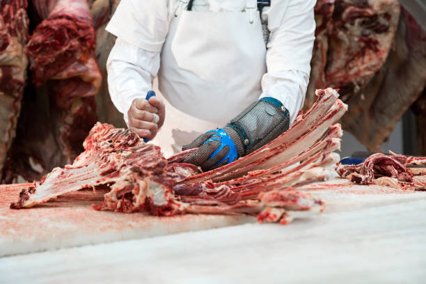 Meat Processing Gloves Stock Photos, Pictures & Royalty-Free Images - iStock