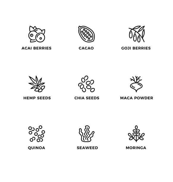 ilustraciones, imágenes clip art, dibujos animados e iconos de stock de conjunto vectorial de elementos de diseño, plantilla de diseño de logotipo, iconos e insignias para alimentos saludables, superalimentos. - antioxidant