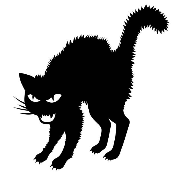 ilustraciones, imágenes clip art, dibujos animados e iconos de stock de gato de dibujos animados negro enojado. señal de halloween aislada en blanco. - domestic cat anger hissing aggression