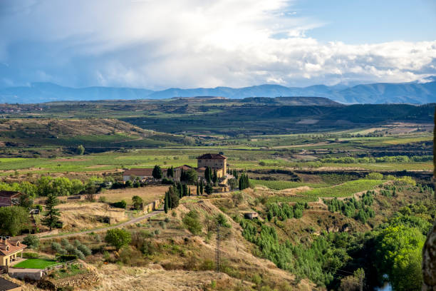 istock The valley of the river Ebro. Rioja. Spain 1282642029