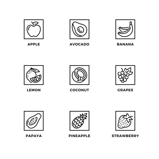 Vector illustration of Vector set of design elements, logo design template, icons and badges for healthy fruits.