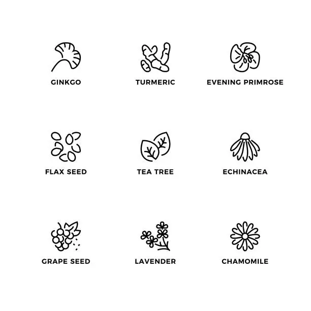 Vector illustration of Vector set of design elements, logo design template, icons and badges for medical plants.