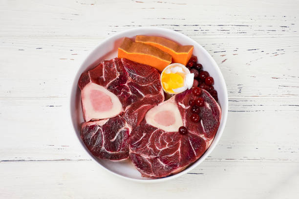 Natural fresh dog food ingredients in a bowl. Raw beef meat, bones, egg and vegetables. BARF diet. Natural fresh dog food ingredients in a bowl. Raw beef meat, bones, egg and vegetables. BARF diet. pumpkin throwing up stock pictures, royalty-free photos & images