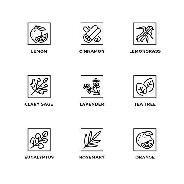 Vector illustration of Vector set of design elements, logo design template, icons and badges for essential oils