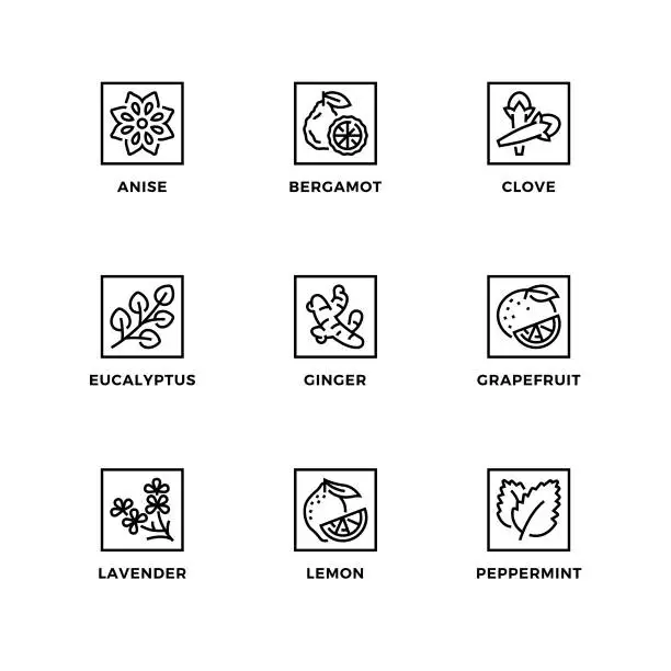 Vector illustration of Vector set of design elements, logo design template, icons and badges for editable essential oils.