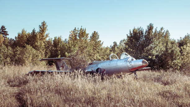 istock Old soviet L-29 trainer aircraft plane in field 1282645087