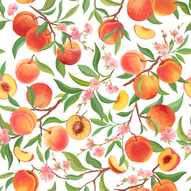 nahtloses pfirsichmuster mit tropischen früchten, blättern, blumenhintergrund. vektorillustration im aquarellstil für den sommer 
cover, tropische tapete, vintage-textur, kulisse, hochzeitseinladung - nectarine peaches peach abstract stock-grafiken, -clipart, -cartoons und -symbole