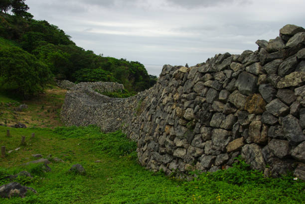 Yanbaru Wald Fotos Bilder und Stockfotos iStock