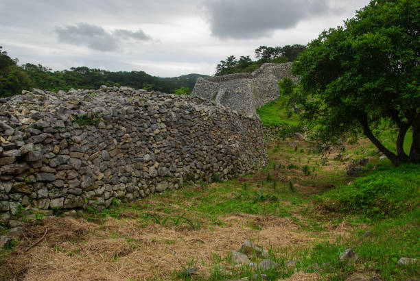 Yanbaru Wald Fotos Bilder und Stockfotos iStock