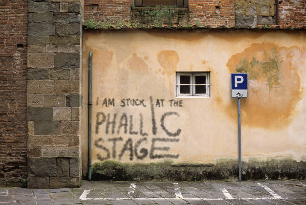 istock stuck at the phallic stage 1282648660