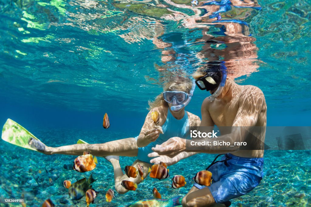 Young couple in snorkeling mask dive underwater in tropical sea Happy family vacation. Young couple in snorkeling mask hold hand, dive underwater with fishes in coral reef sea pool. Travel lifestyle, watersport adventure, swim activity on summer beach holiday Snorkel Stock Photo