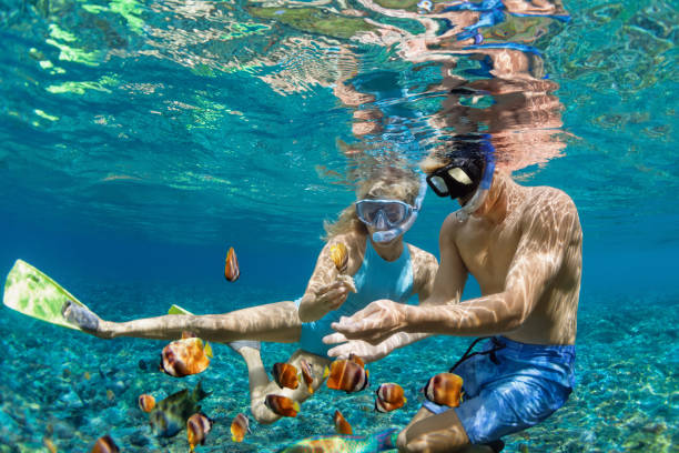 Young couple in snorkeling mask dive underwater in tropical sea Happy family vacation. Young couple in snorkeling mask hold hand, dive underwater with fishes in coral reef sea pool. Travel lifestyle, watersport adventure, swim activity on summer beach holiday cruise vacation photos stock pictures, royalty-free photos & images