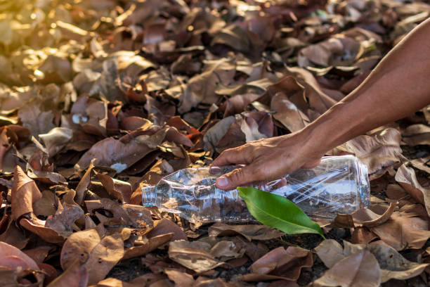 istock Take an empty plastic bottle from the leaf group. 1282654373