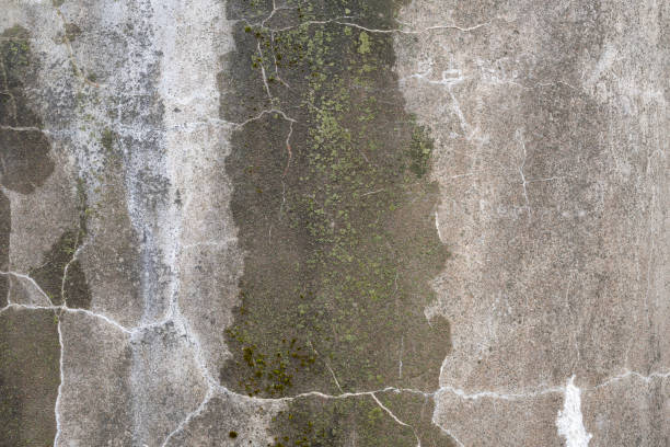 istock Abstract colorful cement wall texture and background with cracks 1282659563