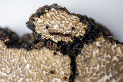 Inside a fresh Burgundy truffle.