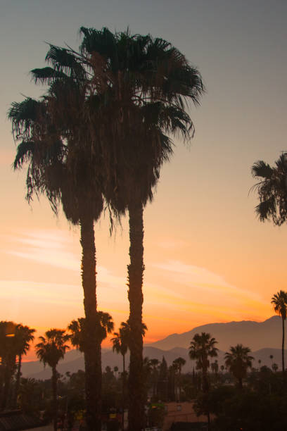istock Sunset with palm trees-Riverside, California 1282666050