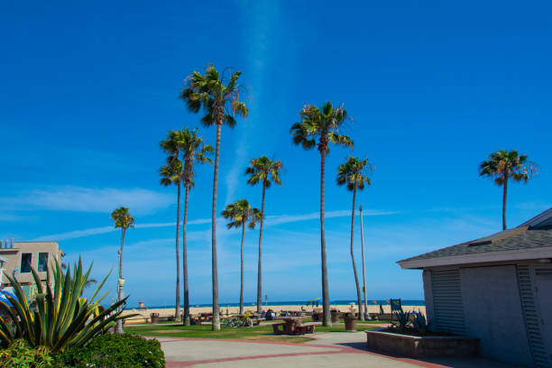 istock Newport Beach-California 1282666084