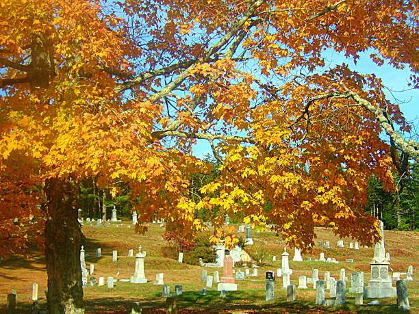 istock Fall Beauty 1282666124