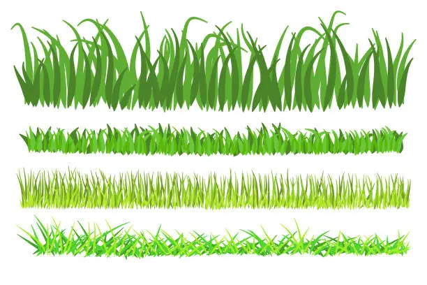 Vector illustration of Green grass vector set