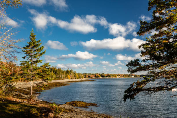 istock Maine shoreline Hancock Point. 1282668584