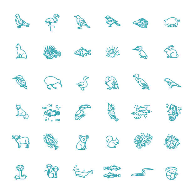 koncepcje zwierząt liniowych, zestaw ikon - fish sea life sea animals hunting stock illustrations