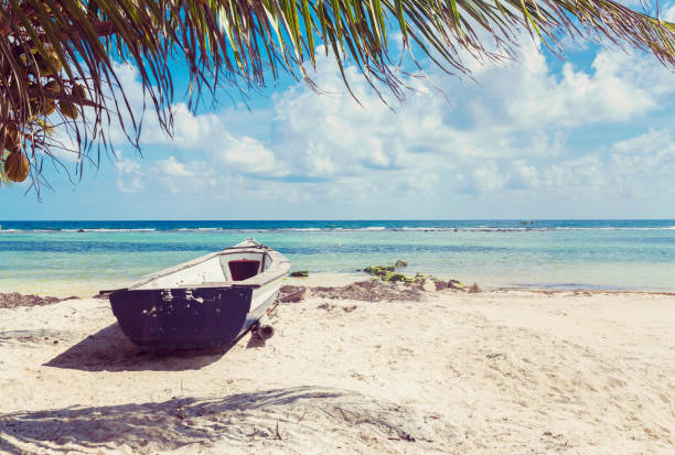 atemberaubender strand am meer in mexiko - costa maya stock-fotos und bilder