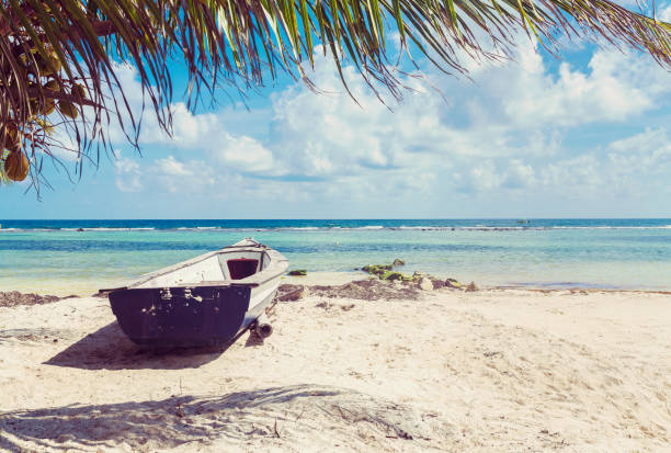 멕시코의 멋진 바다 풍경 해변 - costa maya 뉴스 사진 이미지