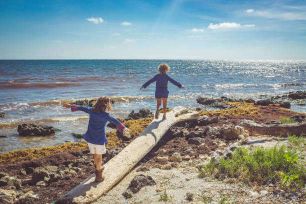 istock Carefree kids on the beach exploring a tropical beach 1282673336