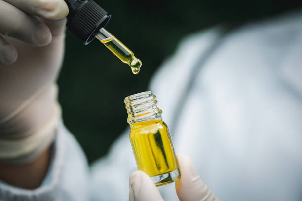 Doctor hand holding bottle of Cannabis oil against Marijuana plant, CBD hemp oil pipette. Cannabis recipe, alternative remedy or medication,  Medical marijuana, medicine concept. Doctor hand holding bottle of Cannabis oil against Marijuana plant, CBD hemp oil pipette. Cannabis recipe, alternative remedy or medication,  Medical marijuana, medicine concept. cbd oil photos stock pictures, royalty-free photos & images