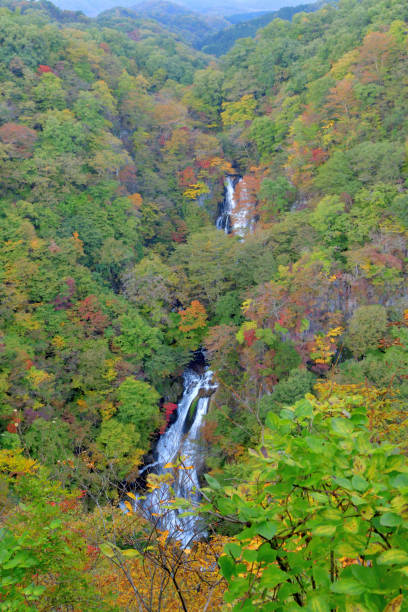 栃木県日光の霧理の滝 - water beauty in nature waterfall nikko ストックフォトと画像