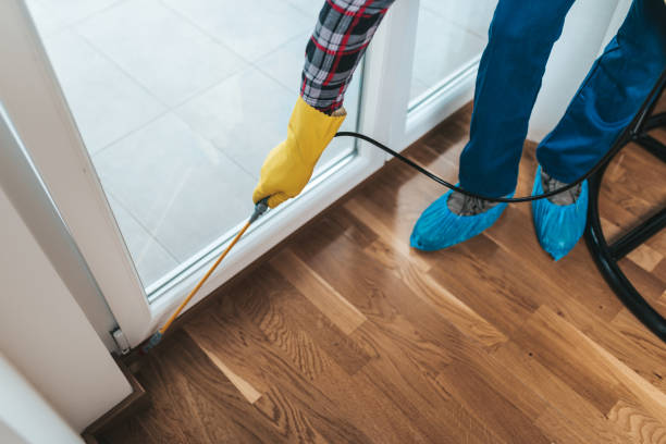 istock House pest control 1282675243