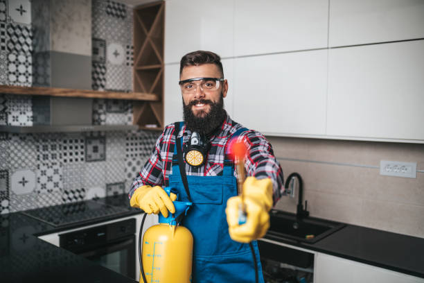 istock House pest control 1282675346