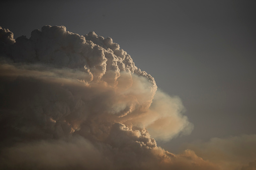 A pyrocumulonimbus cloud is generated from wildfire