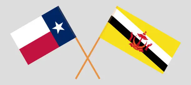 Vector illustration of Crossed flags of the State of Texas and Brunei