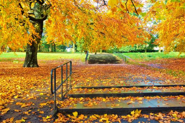 istock Colourful Autumn Scene. 1282677103