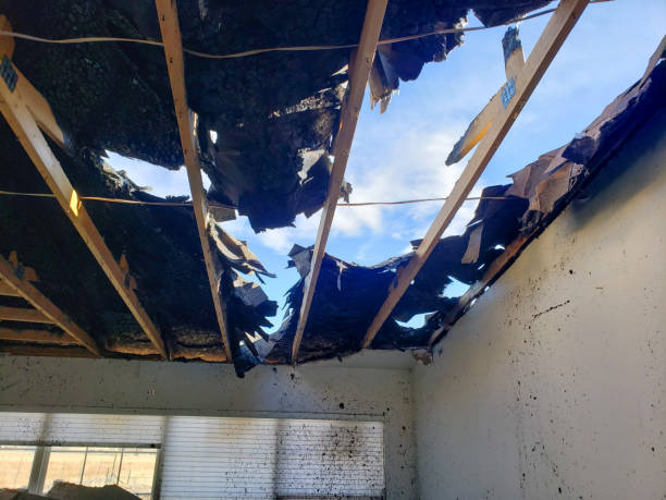 istock Fire Damaged Roof 1282677306