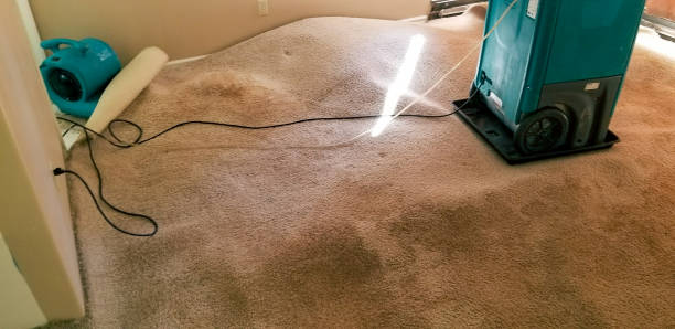 istock Drying Water Damage 1282677341