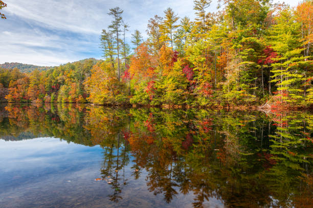 istock Lakeside Fall Foliage 1282679751