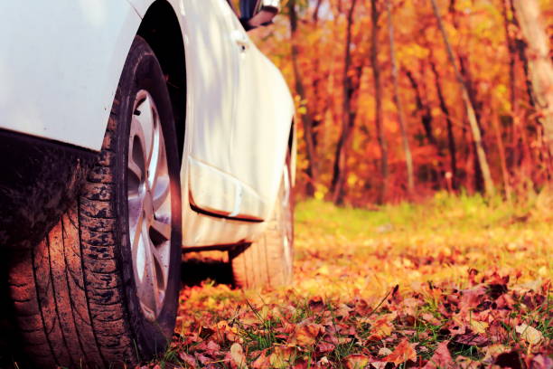 istock Travel by car through the autumn forest 1282682342