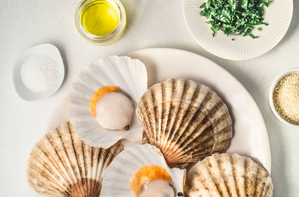 istock A platter with fresh scallops and ingredients for baking them in breading, dry bread, fresh parsley and olive oil. Mediterranean Seafood Cuisine 1282684714