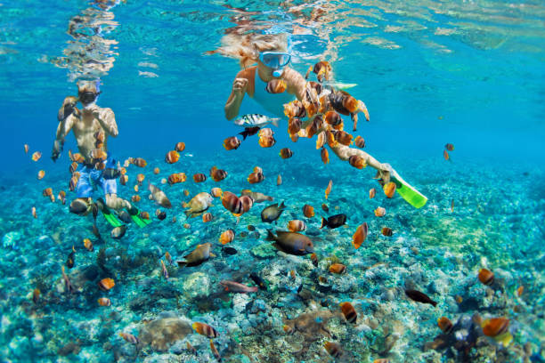 pareja joven en máscara de snorkel buceo bajo el agua en el mar tropical - nusa lembongan fotografías e imágenes de stock