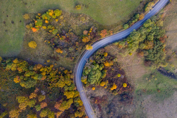 istock road drone view in autumn 1282687480