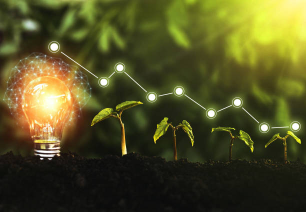 istock Business innovation technology and growing growth to success. 1282691085